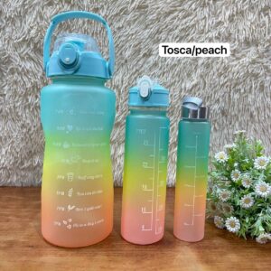 3 IN 1 WATER BOTTLE - TOSCA/PEACH